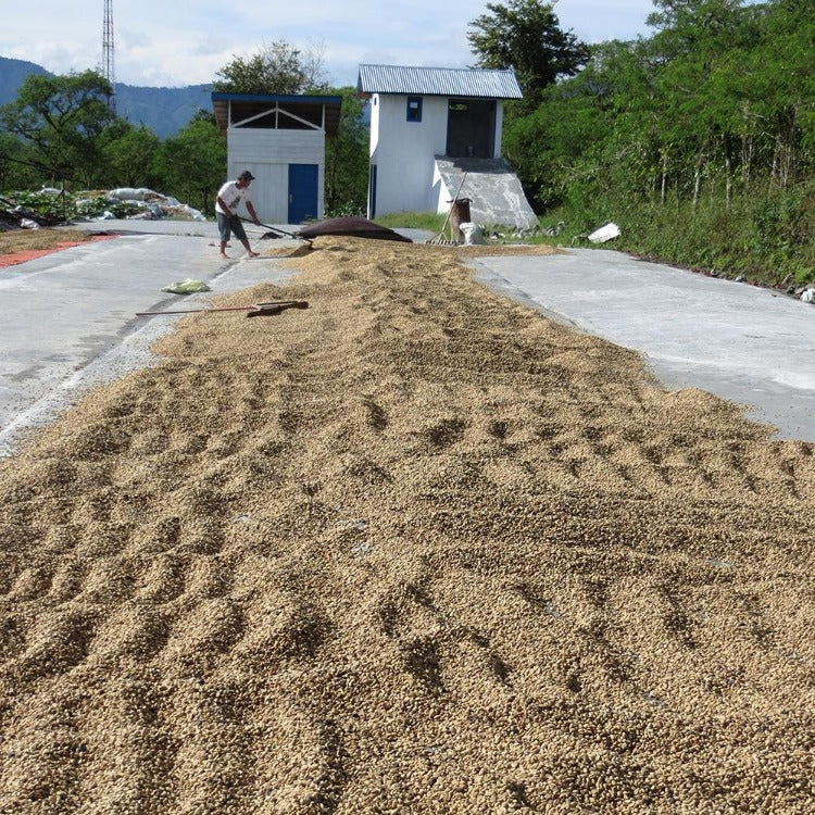 Sumatra Ketiara | Single Origin - Ubora Coffee